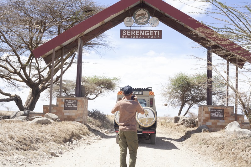 4 Days Group Luxury Safari from Moshi, Tanzania Premium Tour 2026 - 2027